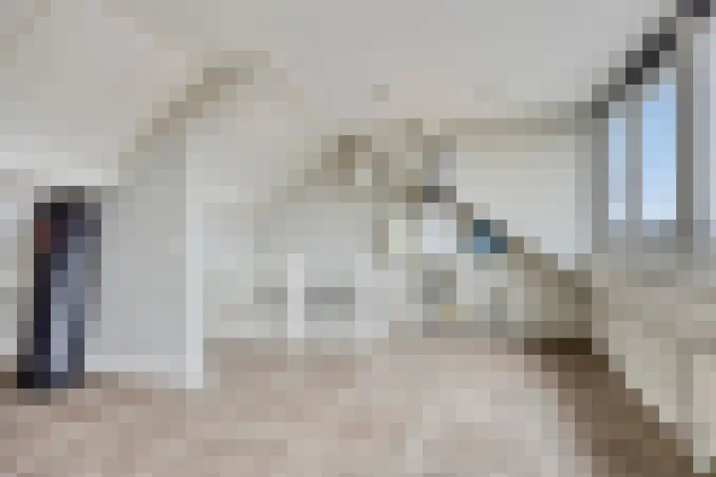 Vlasroot 46 Zeeland thumbnail 29