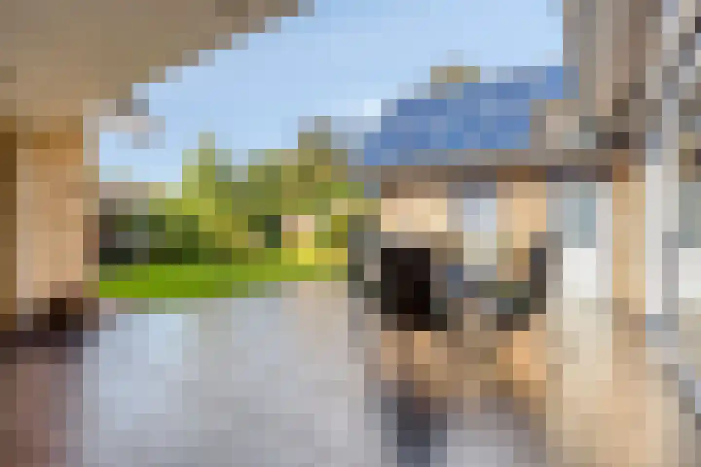 Vlasroot 61 Zeeland thumbnail 42
