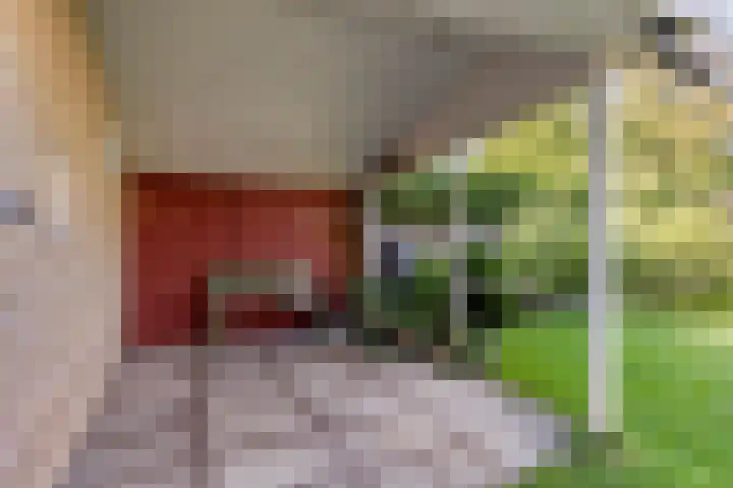 Vlasroot 61 Zeeland thumbnail 44