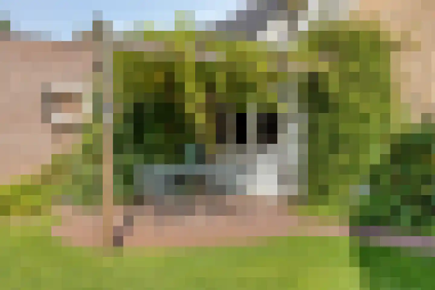 Vlasroot 61 Zeeland thumbnail 45