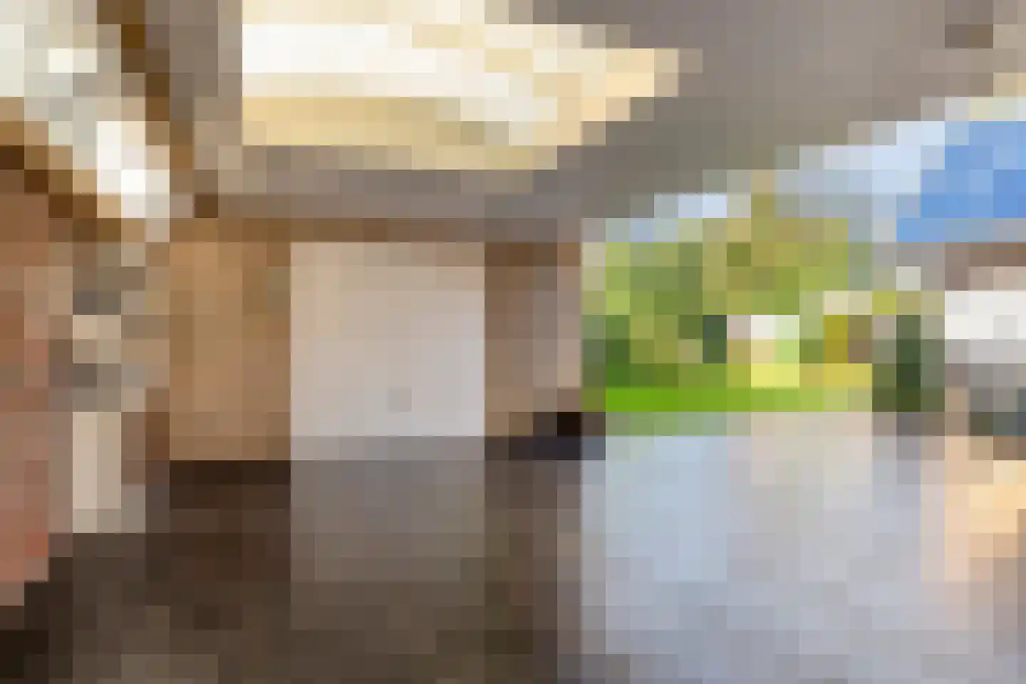 Vlasroot 61 Zeeland thumbnail 47