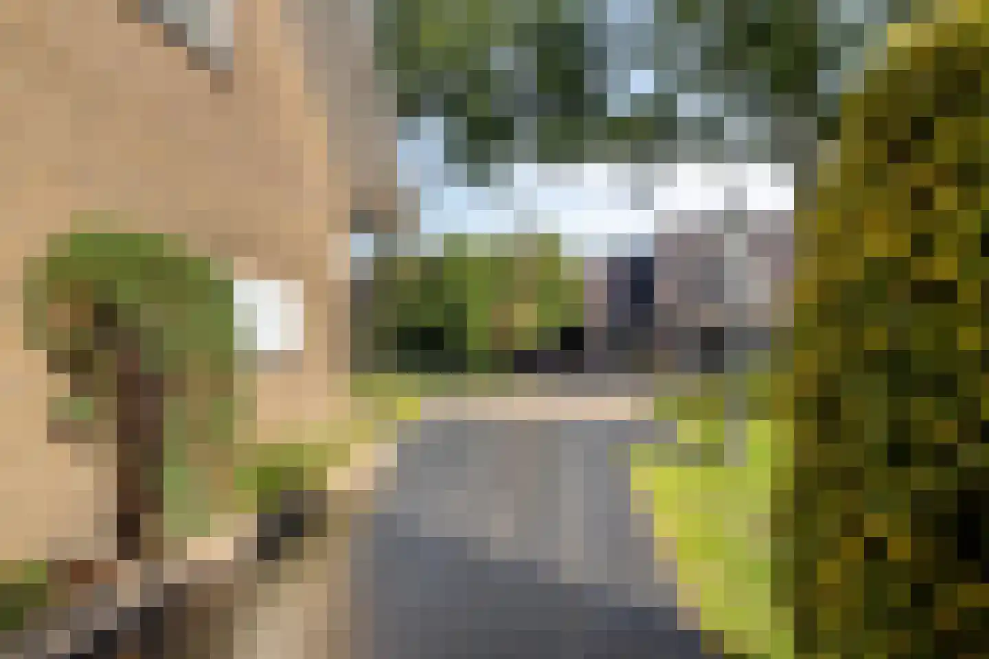 Vlasroot 61 Zeeland thumbnail 52