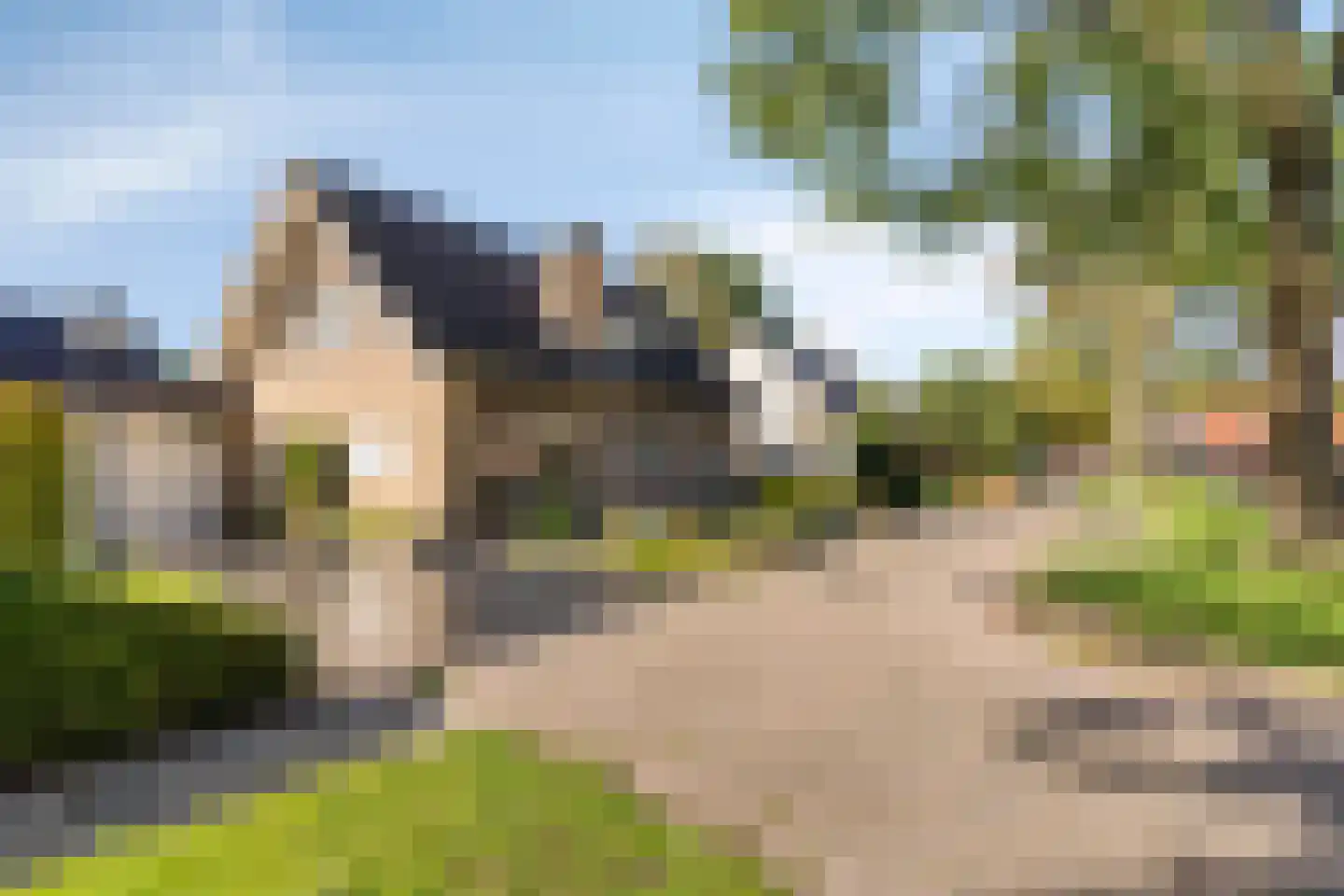 Vlasroot 61 Zeeland thumbnail 53