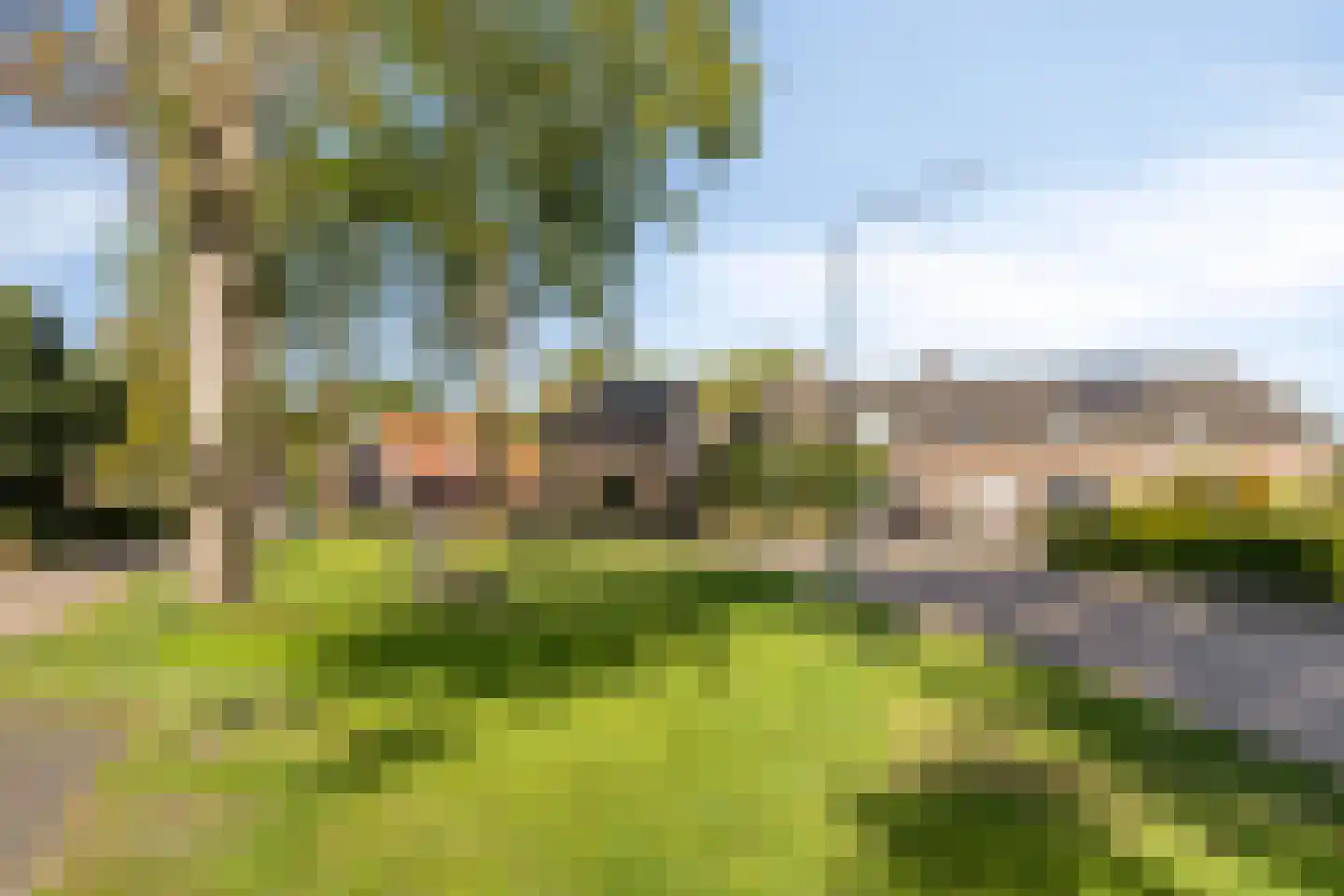 Vlasroot 61 Zeeland thumbnail 54