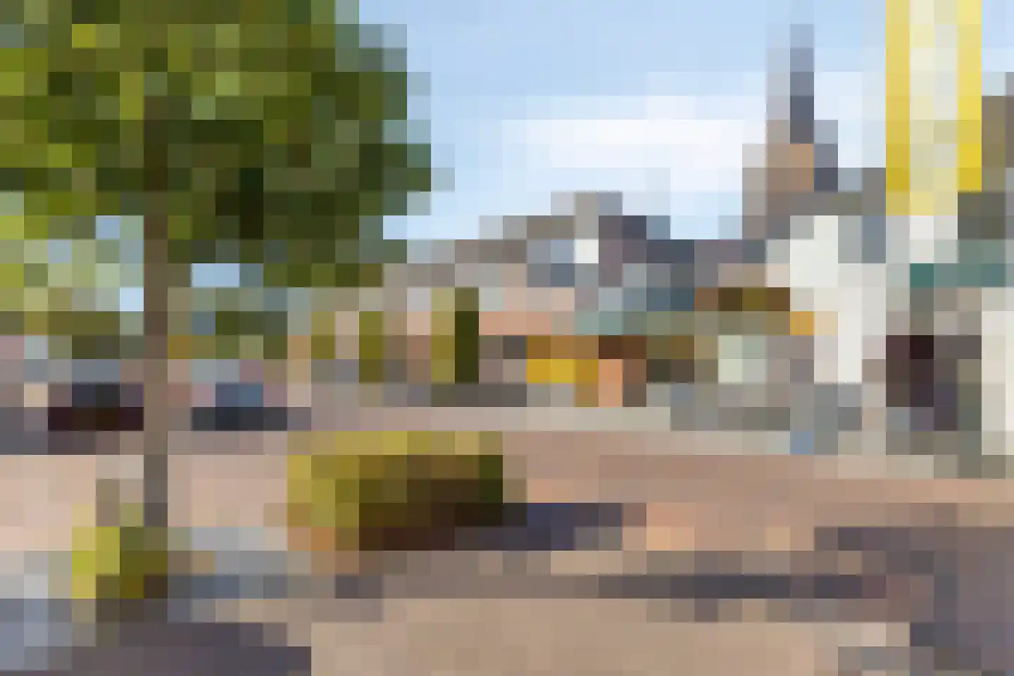 Vlasroot 61 Zeeland thumbnail 55