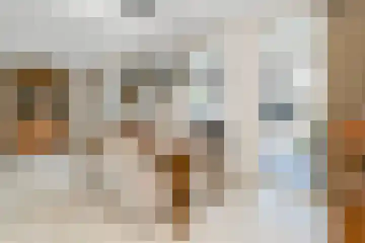 Vlasrootsingel 12 Heythuysen thumbnail 10
