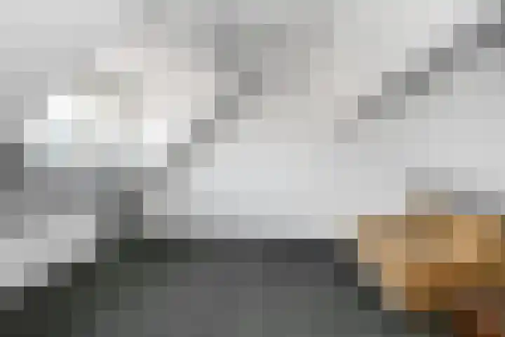 Vlasrootsingel 12 Heythuysen thumbnail 24