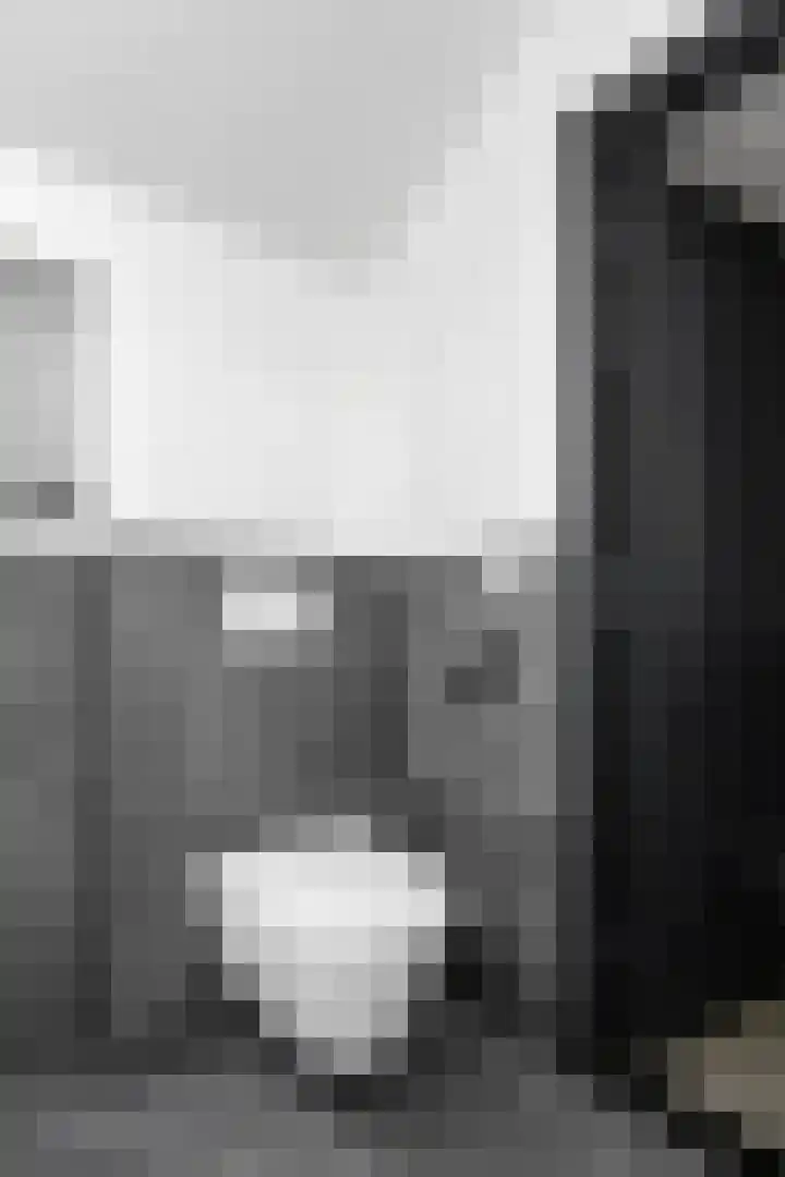Vlasrootsingel 12 Heythuysen thumbnail 27