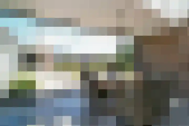 Vlasrootsingel 12 Heythuysen thumbnail 30
