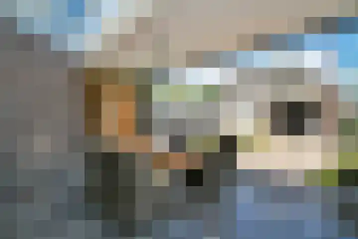 Vlasrootsingel 12 Heythuysen thumbnail 31