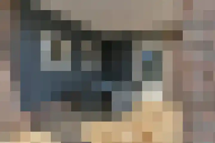 Vlasrootsingel 12 Heythuysen thumbnail 35