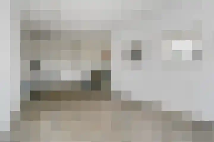 Vlasrootsingel 12 Heythuysen thumbnail 36
