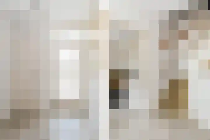 Vlasrootsingel 12 Heythuysen thumbnail 4