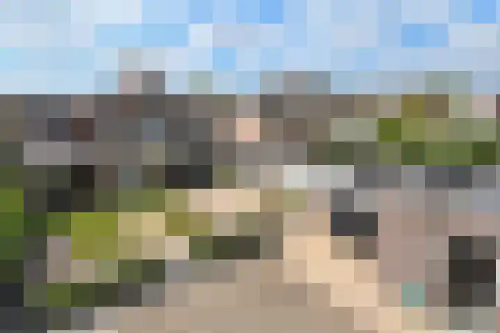 Vlasrootsingel 12 Heythuysen thumbnail 42