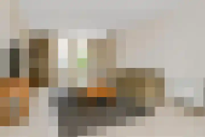 Vlasrootsingel 12 Heythuysen thumbnail 7