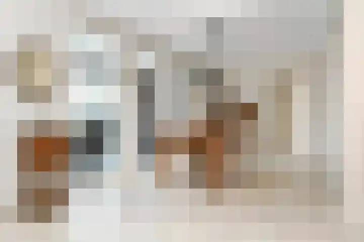 Vlasrootsingel 12 Heythuysen thumbnail 9