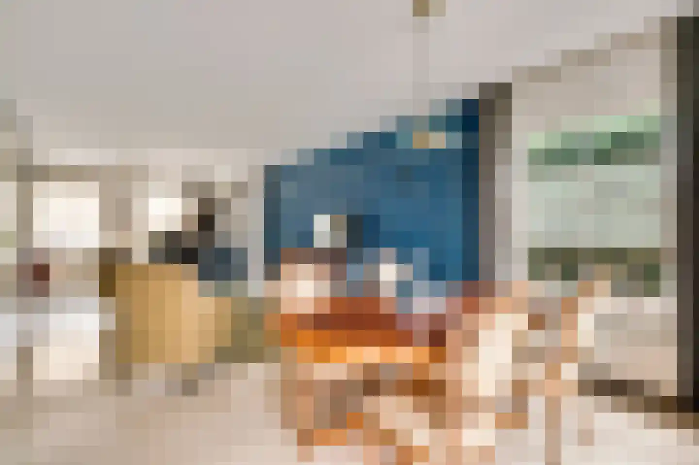Vlasrootsingel 22 Heythuysen thumbnail 10