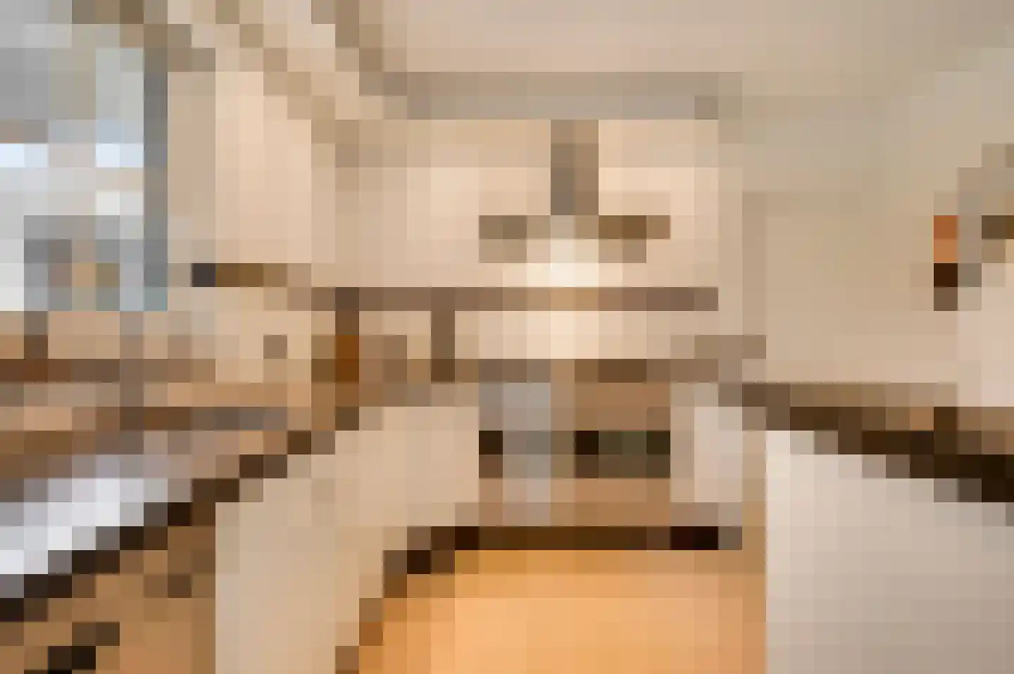 Vlasrootsingel 22 Heythuysen thumbnail 14