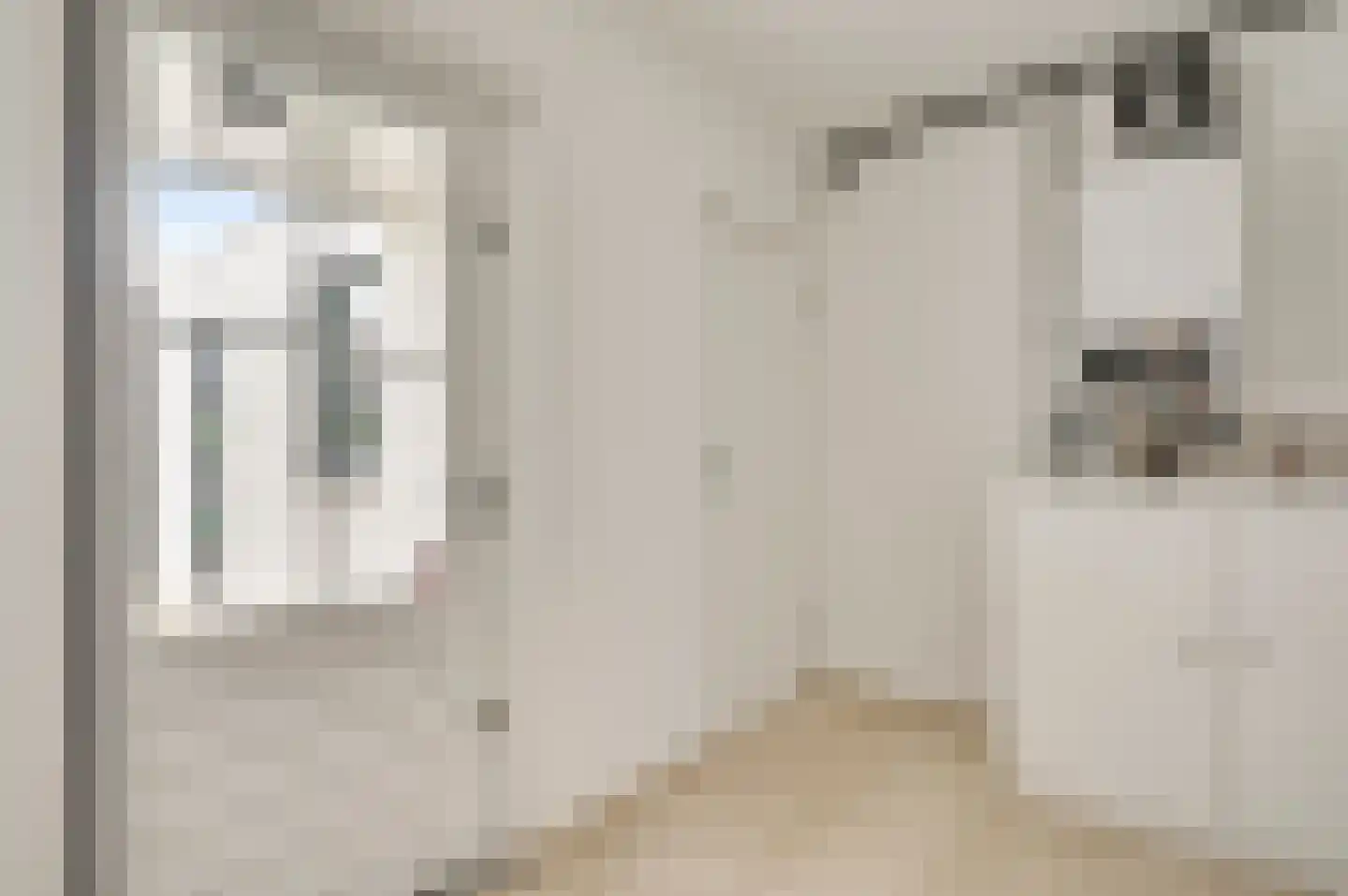 Vlasrootsingel 22 Heythuysen thumbnail 16