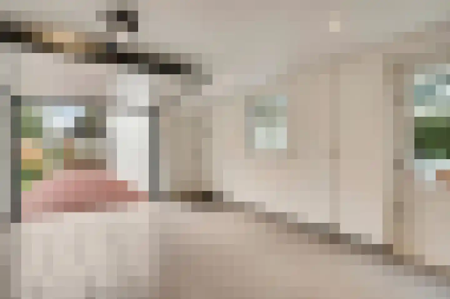 Vlasrootsingel 22 Heythuysen thumbnail 18