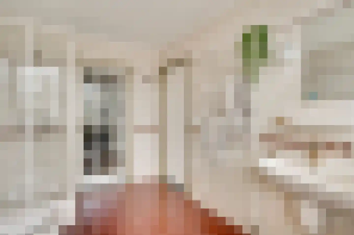 Vlasrootsingel 22 Heythuysen thumbnail 29