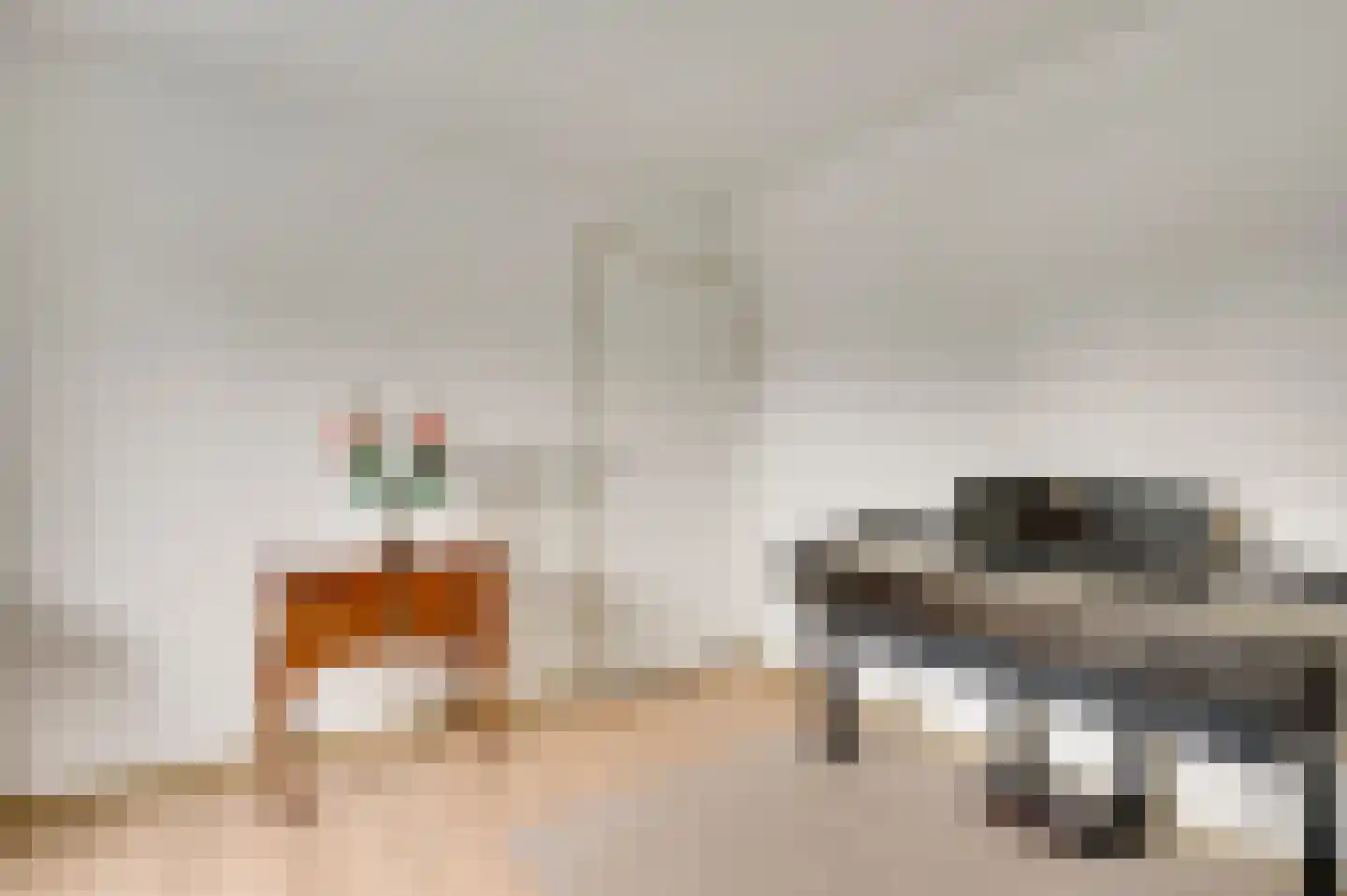 Vlasrootsingel 22 Heythuysen thumbnail 31