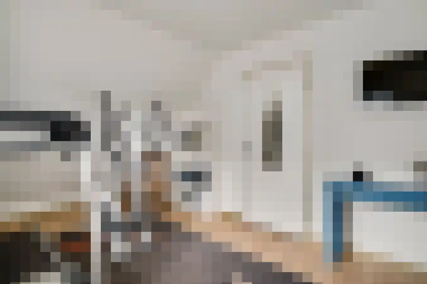 Vlasrootsingel 22 Heythuysen thumbnail 33