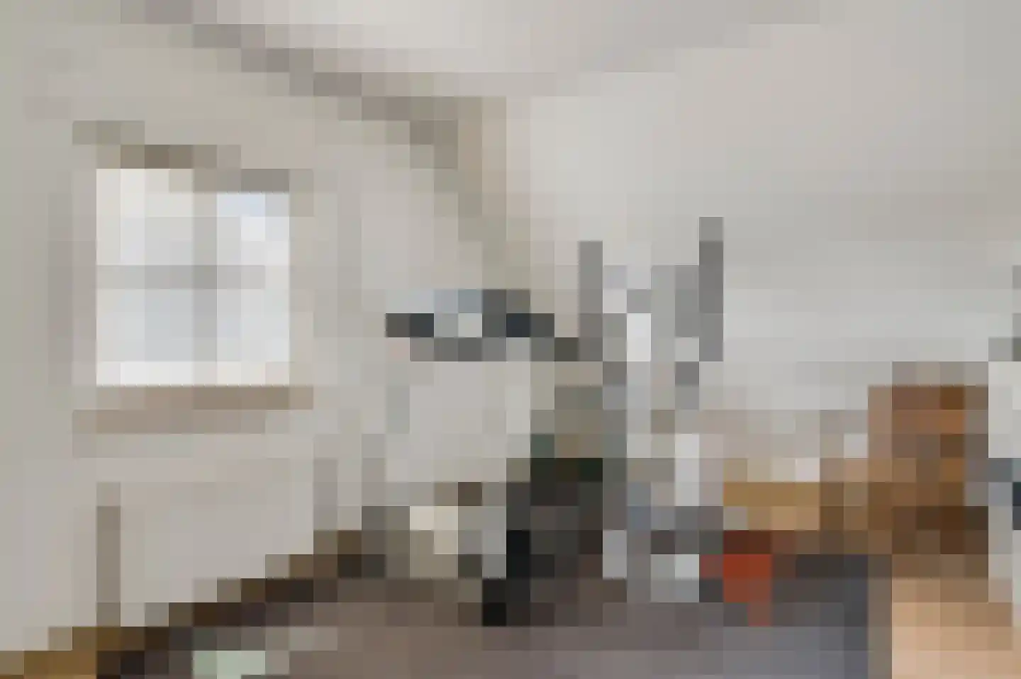 Vlasrootsingel 22 Heythuysen thumbnail 34