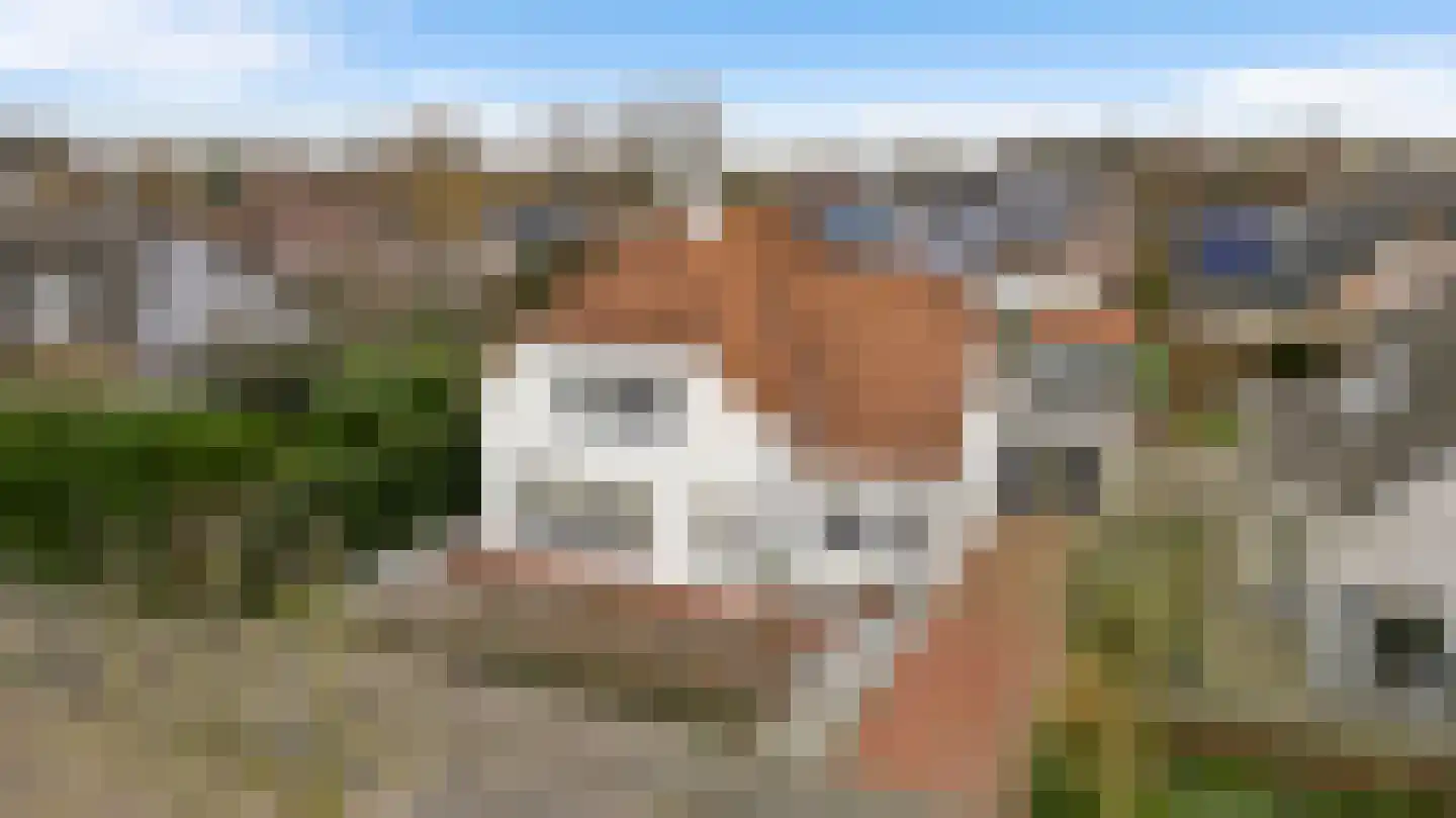 Vlasrootsingel 22 Heythuysen thumbnail 4