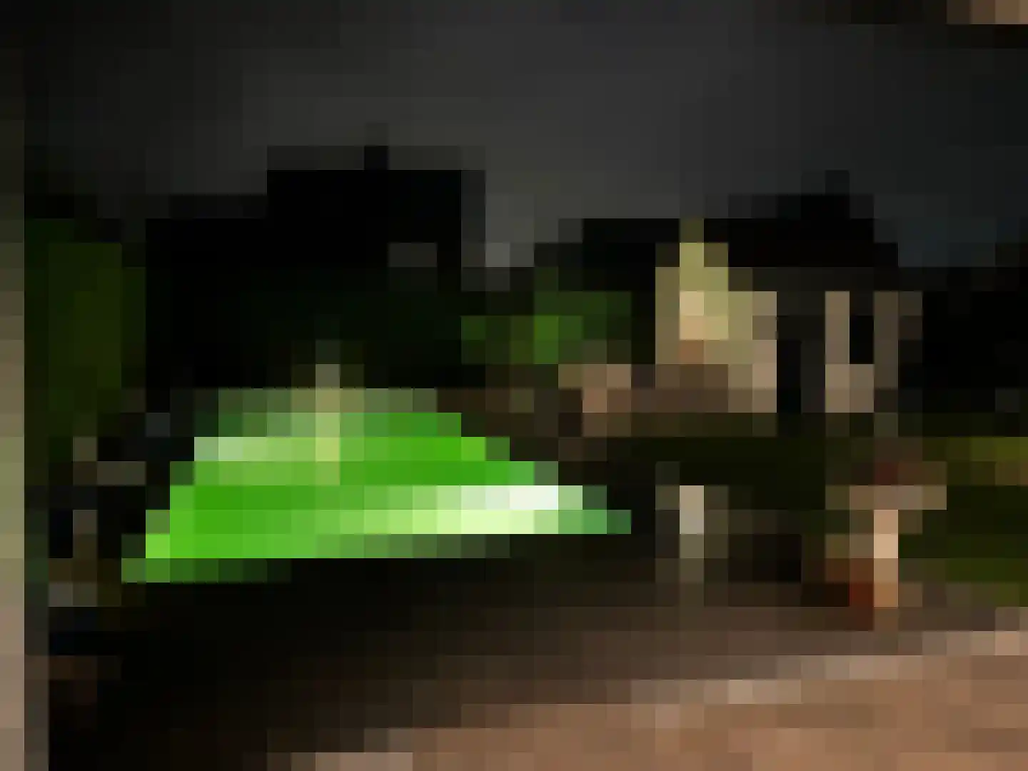 Vlasrootsingel 22 Heythuysen thumbnail 42