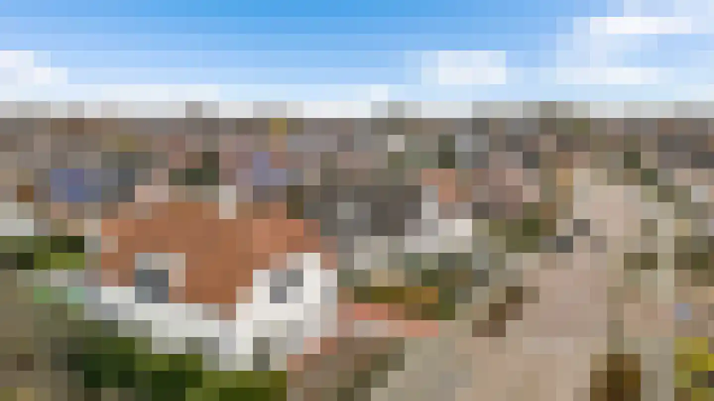 Vlasrootsingel 22 Heythuysen thumbnail 49