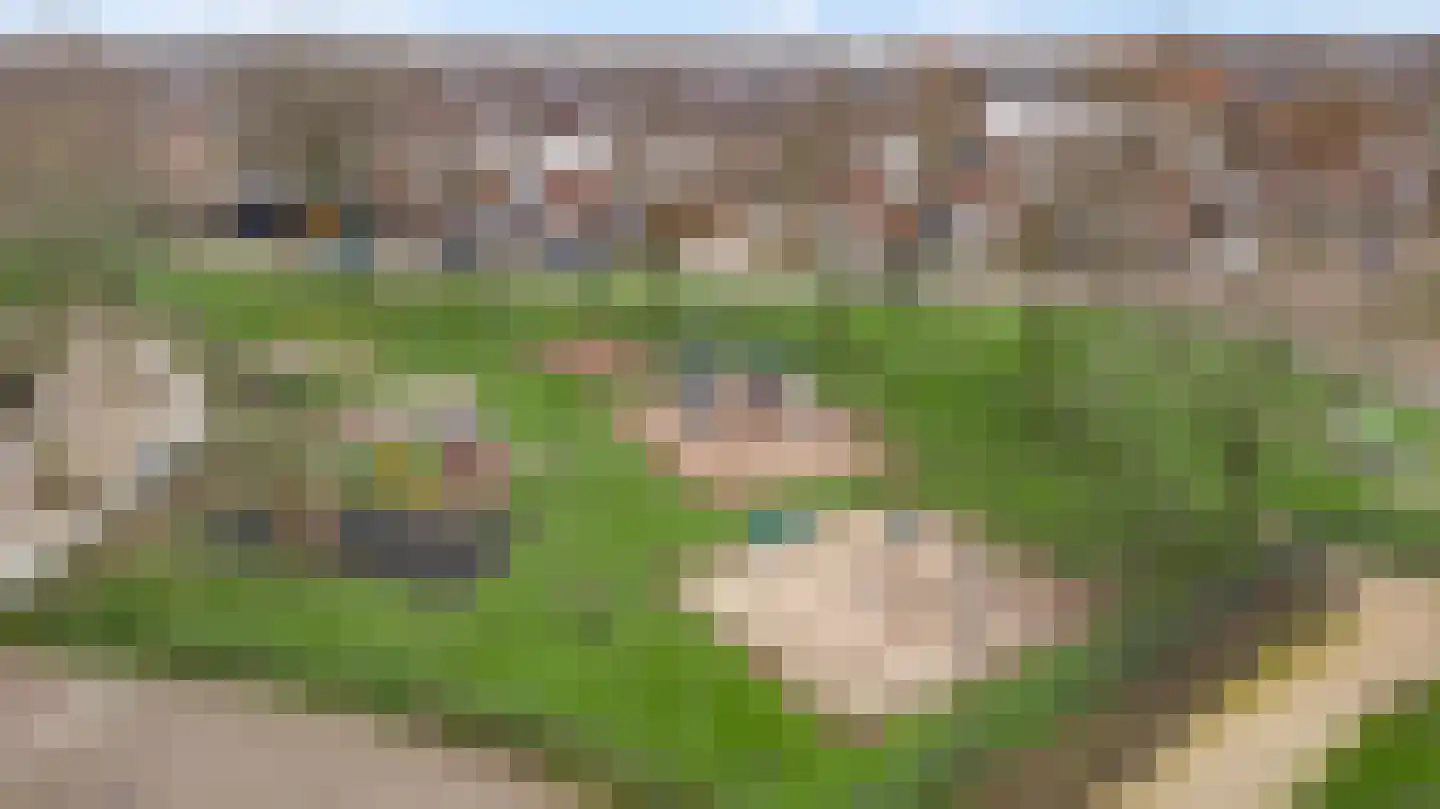 Vlasrootsingel 22 Heythuysen thumbnail 51