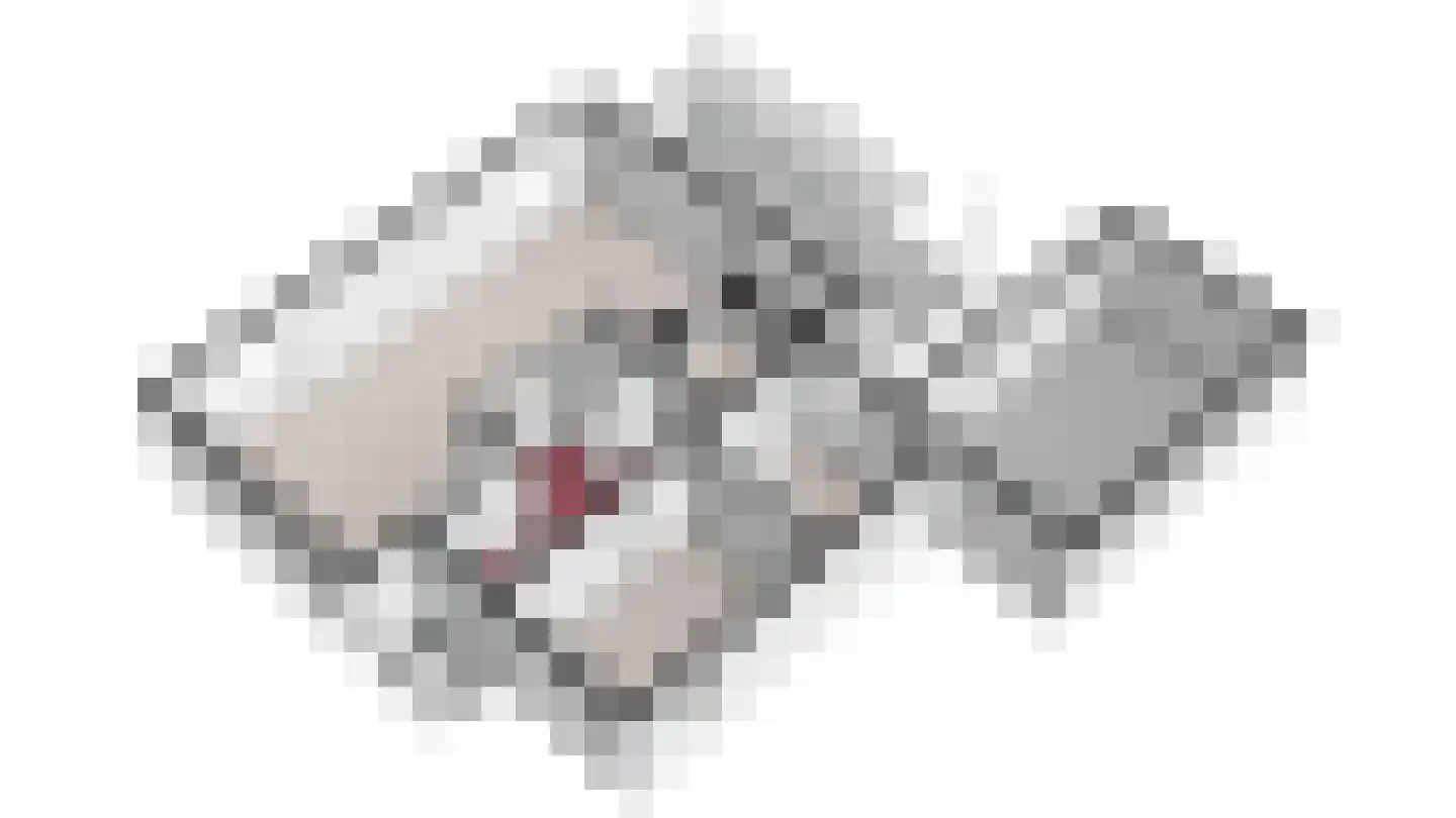 Vlasrootsingel 22 Heythuysen thumbnail 57