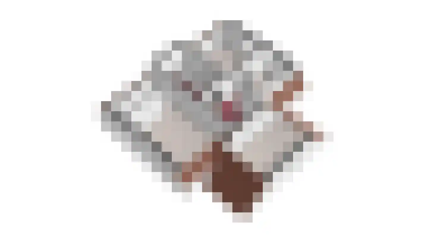 Vlasrootsingel 22 Heythuysen thumbnail 58