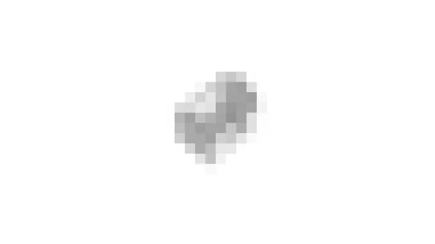 Vlasrootsingel 22 Heythuysen thumbnail 60