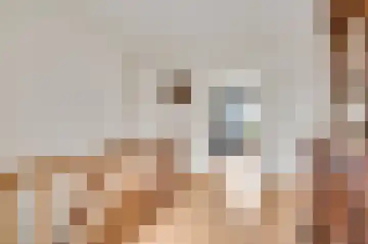 Vlasrootsingel 32 Heythuysen thumbnail 16