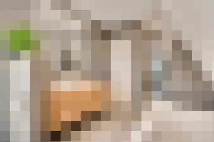 Vlasrootsingel 32 Heythuysen thumbnail 22