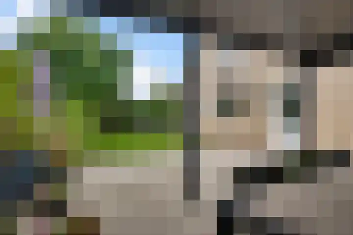 Vlasrootsingel 32 Heythuysen thumbnail 25