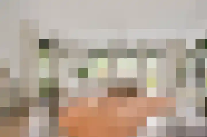 Vlasrootsingel 32 Heythuysen thumbnail 5
