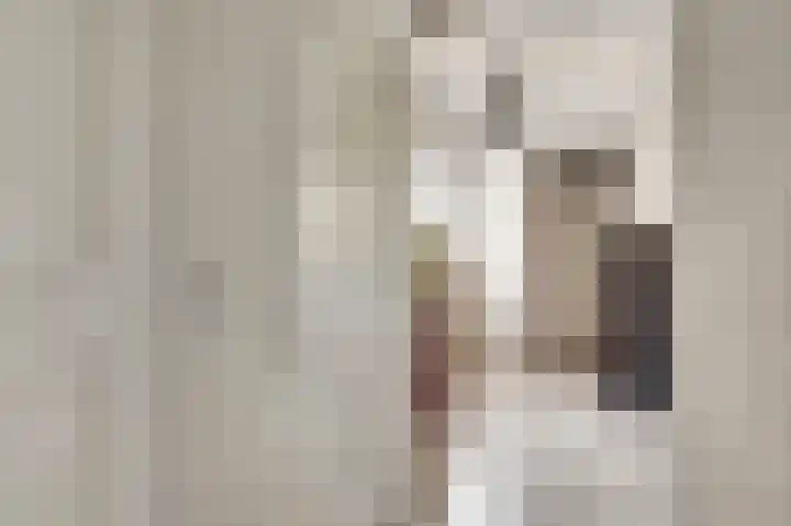 Vlasrootsingel 33 Heythuysen thumbnail 10