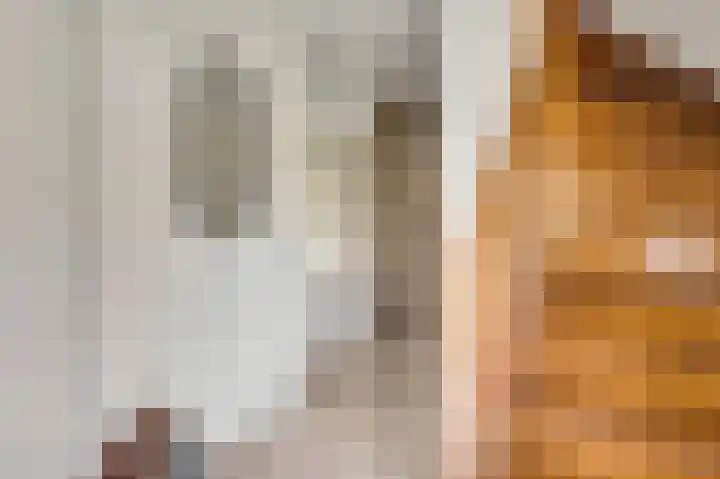 Vlasrootsingel 33 Heythuysen thumbnail 11