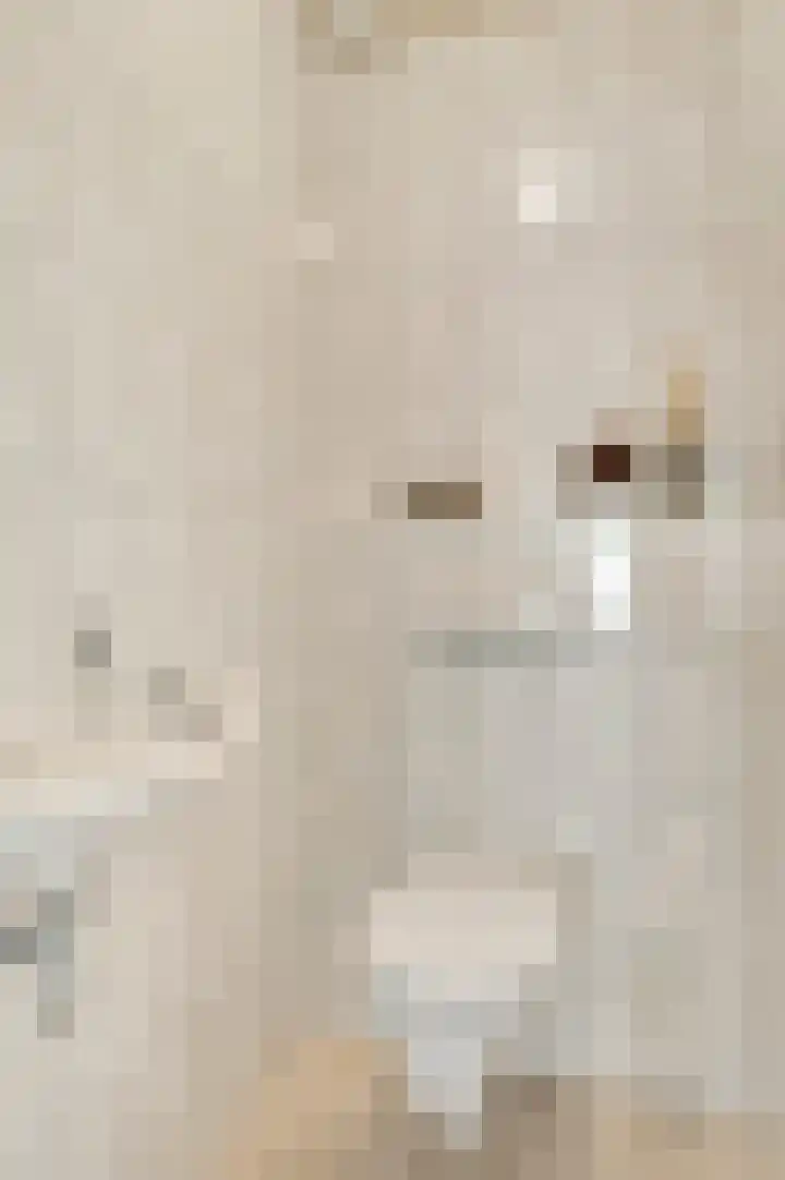 Vlasrootsingel 33 Heythuysen thumbnail 13