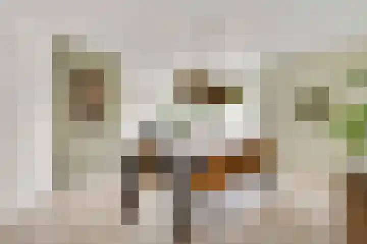 Vlasrootsingel 33 Heythuysen thumbnail 15