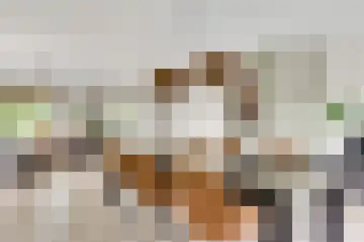 Vlasrootsingel 33 Heythuysen thumbnail 16