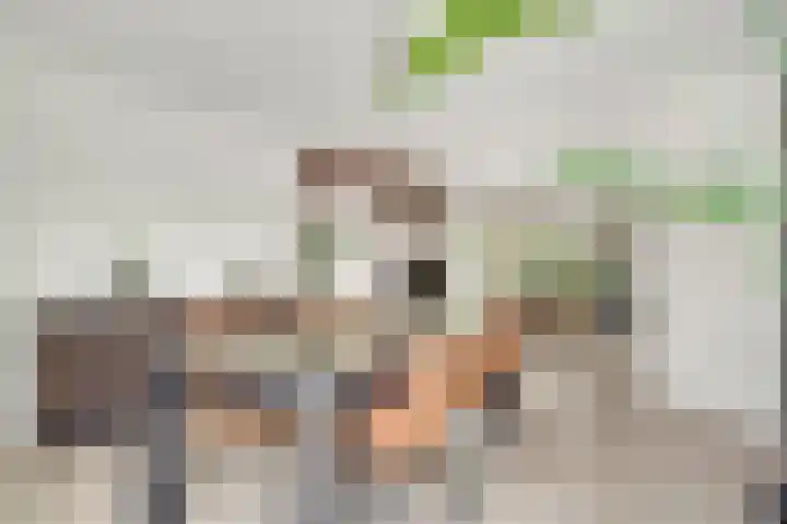 Vlasrootsingel 33 Heythuysen thumbnail 17