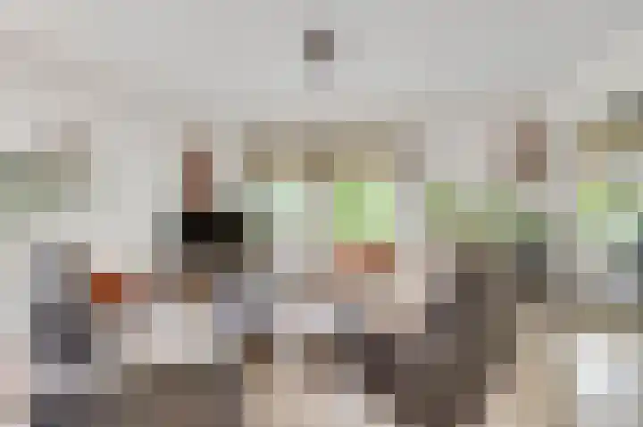 Vlasrootsingel 33 Heythuysen thumbnail 18