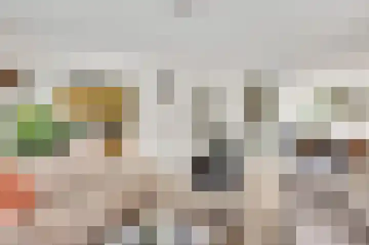Vlasrootsingel 33 Heythuysen thumbnail 20