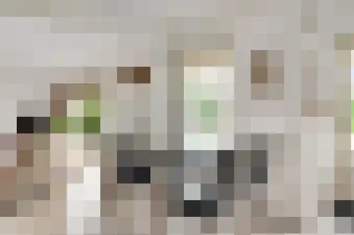 Vlasrootsingel 33 Heythuysen thumbnail 22