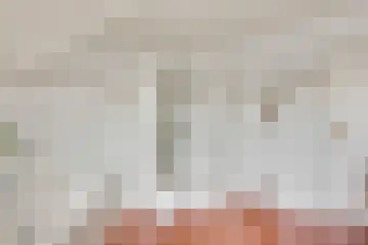 Vlasrootsingel 33 Heythuysen thumbnail 28