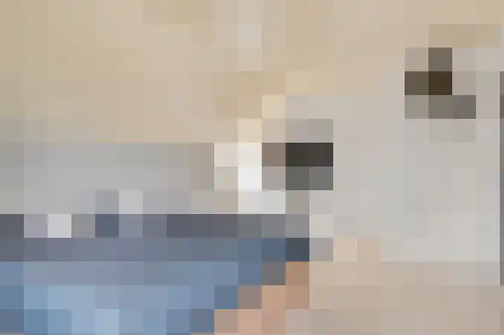 Vlasrootsingel 33 Heythuysen thumbnail 33